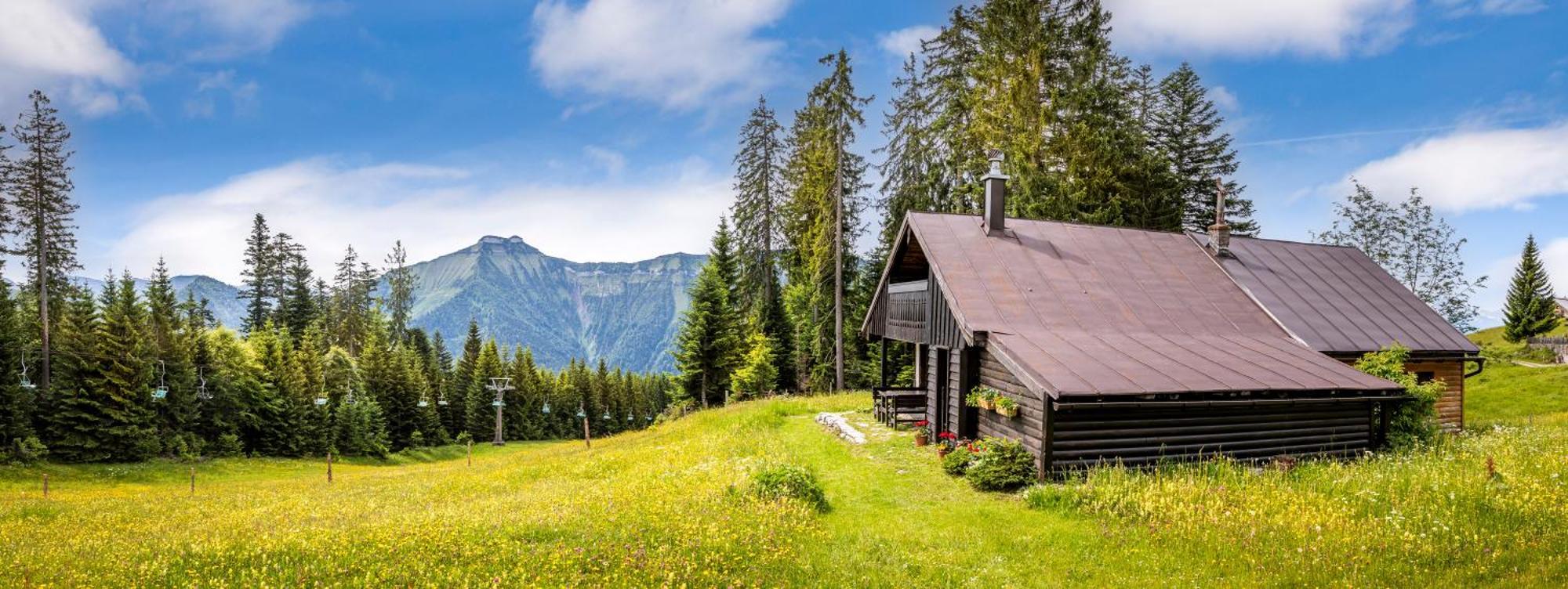 Schnaitstadl-Alm Selbstversorgerhuette Krispl Dış mekan fotoğraf